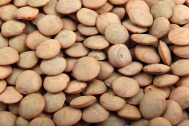 Similar image 8352100