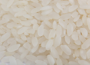 Similar image 8352101