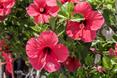 Similar image 8352200