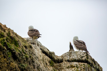 Similar image 8352248