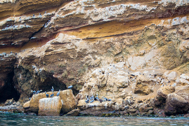 Similar image 8352249