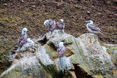 Similar image 8352250