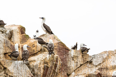 Similar image 8352251