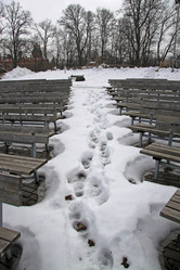 Similar image 8352256