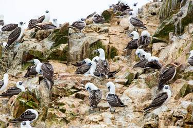 Similar image 8352275