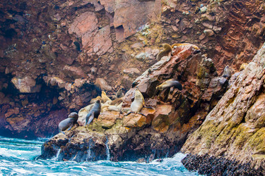 Similar image 8352282