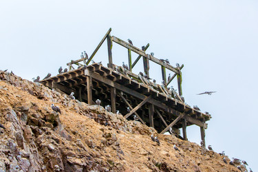 Similar image 8352285