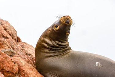 Similar image 8352292