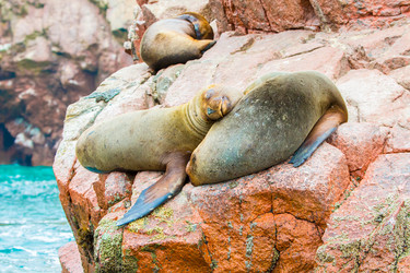 Similar image 8352293