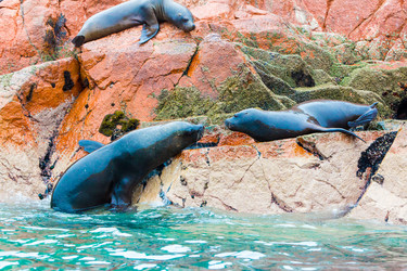 Similar image 8352436