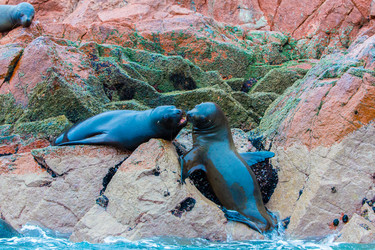 Similar image 8352440