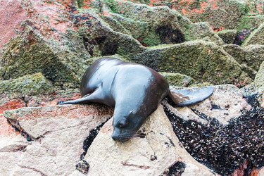 Similar image 8352441