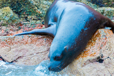 Similar image 8352442