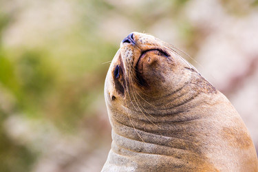 Similar image 8352443