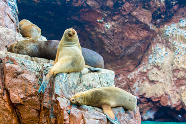 Similar image 8352446