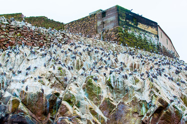 Similar image 8352448