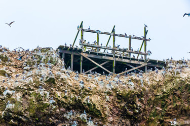 Similar image 8352451