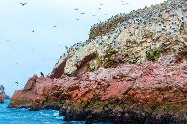 Similar image 8352452