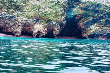 Similar image 8352453