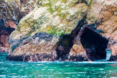 Similar image 8352454