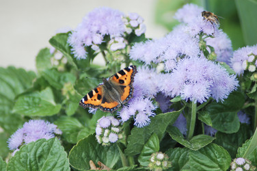 Similar image 8352582