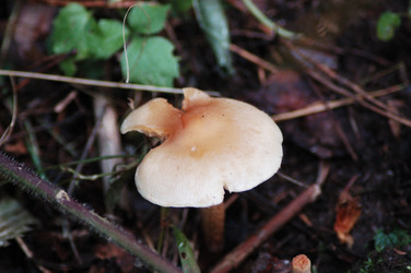 Similar image 8352583