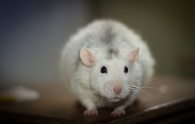 Similar image 8352586