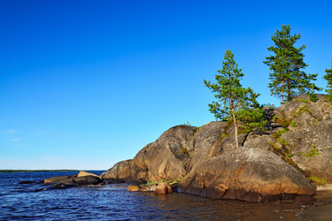 Similar image 8352601