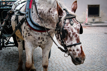 Similar image 8352655