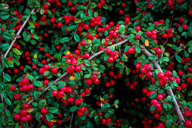 Similar image 8352657