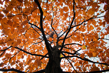 Similar image 8352660