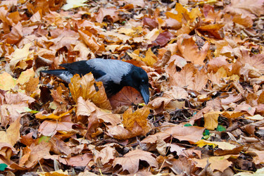 Similar image 8352663