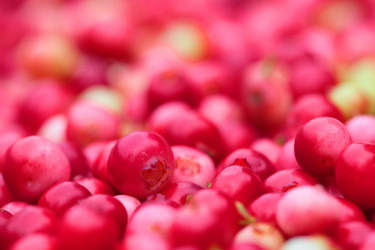 Similar image 8352665