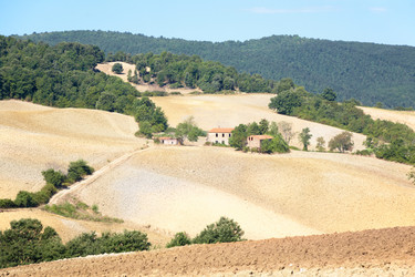 Similar image 8352675