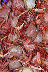 Similar image 8352686