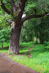 Similar image 8352692