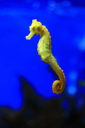 Similar image 8353342