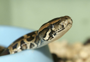 Similar image 8353351