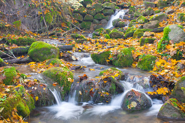 Similar image 8353356