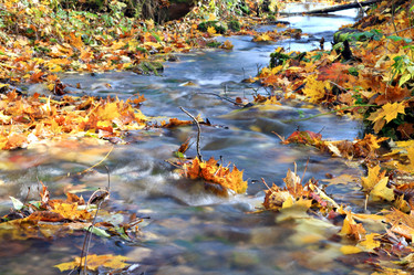 Similar image 8353357