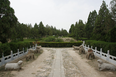 Similar image 8353440