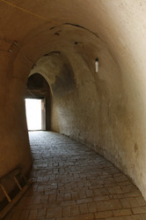 Similar image 8353443