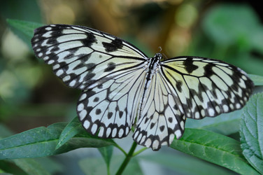 Similar image 8353544