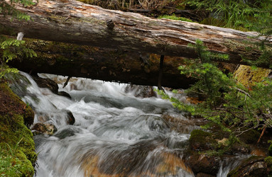 Similar image 8353545