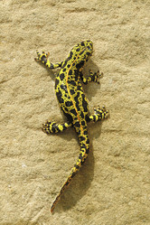 Similar image 8353547