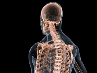 Similar image 8353579