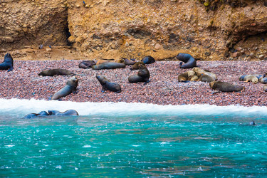 Similar image 8353848