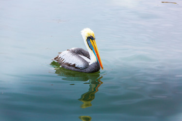 Similar image 8353861