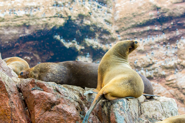 Similar image 8353920