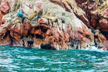 Similar image 8353923